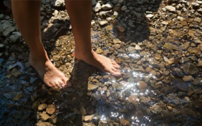 Conecta con la Tierra a través del grounding y earthing en la Costa Araucanía.